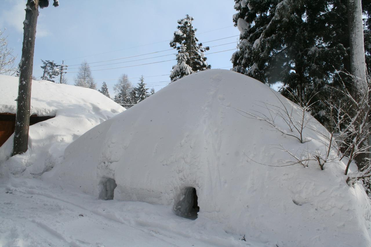 B&B Santana Hakuba Exterior foto